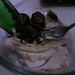 Preparing chocolate