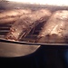 Preparing hake fish in halogen oven
