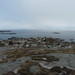 Norvegia