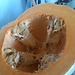 Pumpkin in halogen oven