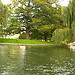 Punting in Cambridge