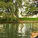 Punting in Cambridge