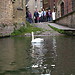 Punting in Cambridge