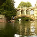 Punting in Cambridge