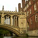 Punting in Cambridge