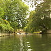 Punting in Cambridge