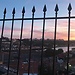 Quinto día en Oporto