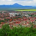 Rasnov