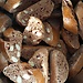 Recipe Cantuccini