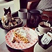 Crazy cat caffè