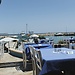 Restaurantes en Chipre (Ayia Napa, Protaras y Limassol)