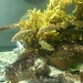 Øresund Aquarium