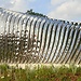 Ribs sculpture