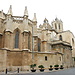 Riccardo's Erasmus Experience in Tarragona, Spain