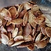 Roasted pumpkin seeds