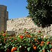 Roman antiquities in Tarragona (1)