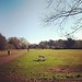 Roma'nın merkezinde kamp yeri. En güzel park