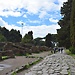 Ostia