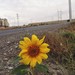 Running