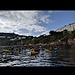 Ruta en Kayak en la costa de Killiney