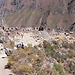 Ruta más Famosa de todo los Tiempos en Cusco “Camino del Inca”