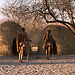 Saggio sulla Storia e la Cultura Africana