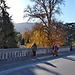 Santuario de Lourdes