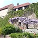 Schlossberg