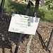 Schönbrunn dans toute sa splendeur