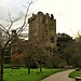 Scoprendo il Castello di Blarney e i suoi giardini - 1 parte