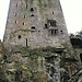 Scoprendo il Castello di Blarney e i suoi giardini - 1 parte
