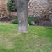 Montblanch