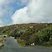 See Connemara !