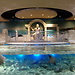 Istanbul Aquarium at Aqua Florya