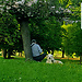 Public Park
