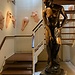 Sex museum en Amsterdam