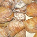 Sfogliatelle frolle