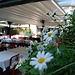 Albergo Ristorante Il Sole