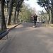 Skate in milan