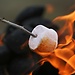 S'mores