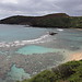Hanauma Bay