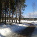 Sognsvann lake
