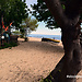 Sopot Fishing Harbour