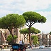 Streets of Rome