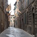 Studying in Siena, Italy by Shaghayegh