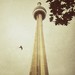 CN Tower