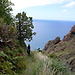 Surprises everywhere - that is Madeira - part four