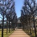 Sylwester 2016/2017 i Nowy Rok bez kaca - łyżwy przy Hali Stulec