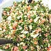 Tabouli: the superfood vegan salad.