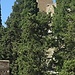 ¡Te enseño qué ver en Málaga! 3. Alcazaba y gibralfaro